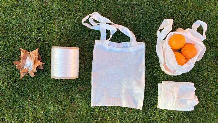 Bioplásticos Biodegradables Desarrollados Con IA